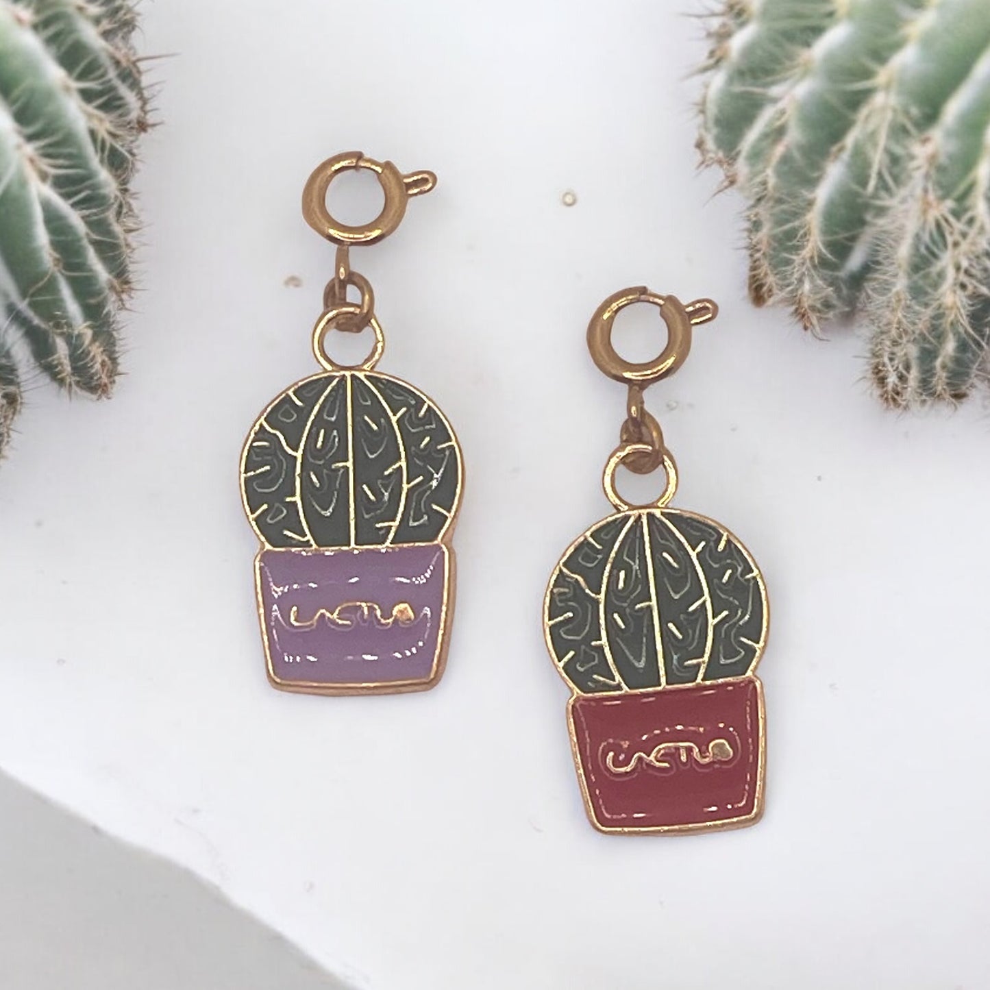 Round Cactus Charm