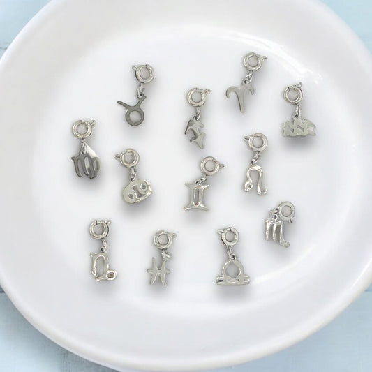 Silver Zodiac Sign Charms