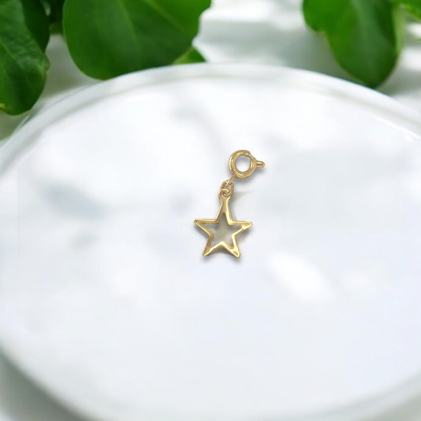 Stellar Star Charm