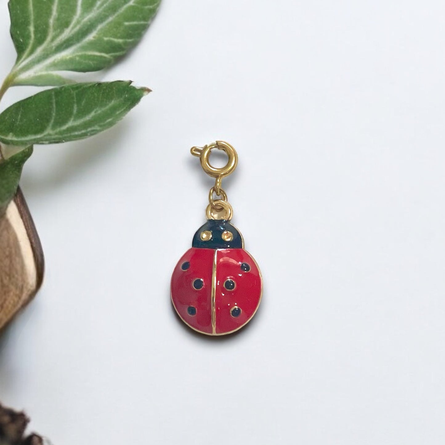 Ladybug Charm