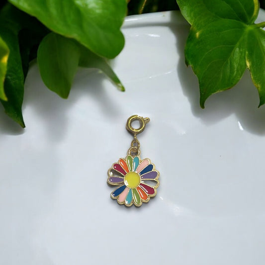 Rainbow Chrysanthemum Charm