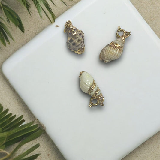 Small Natural Conch Shell Charm